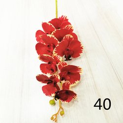 40