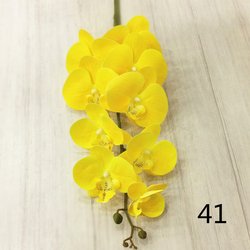41