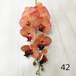 42