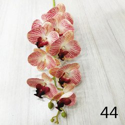 44