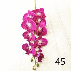 45