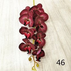 46