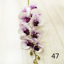 47