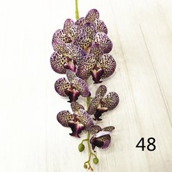 48