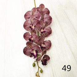 49