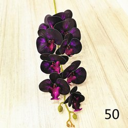 50