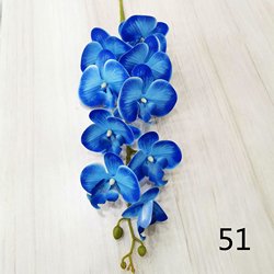 51
