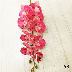 53