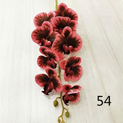 54