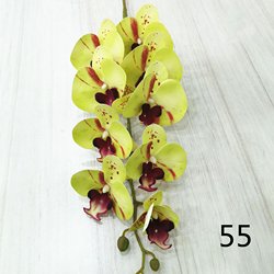 55