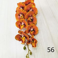 56