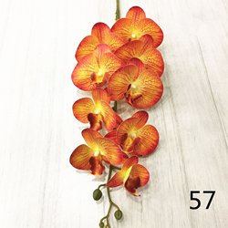 57