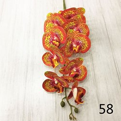 58