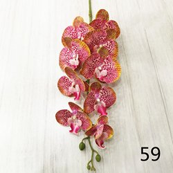 59
