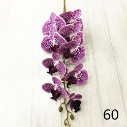 60