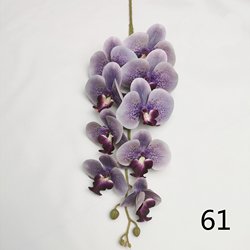 61