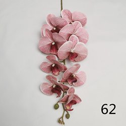 62