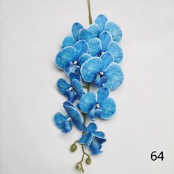64