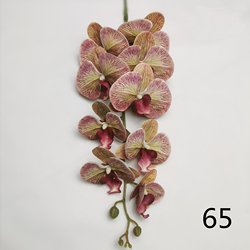 65