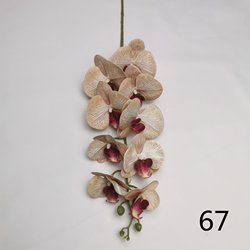 67