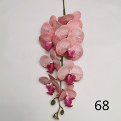 68