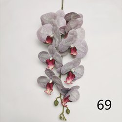 69