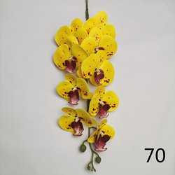 70