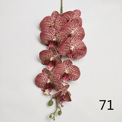 71