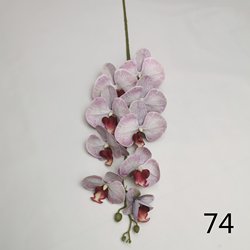 74