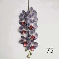75
