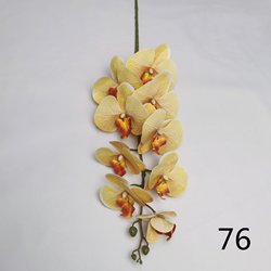76