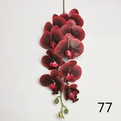 77