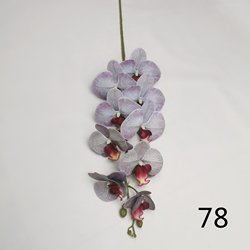 78