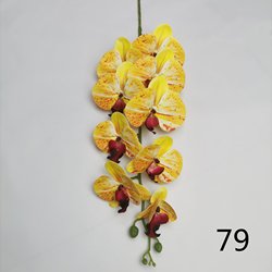 79