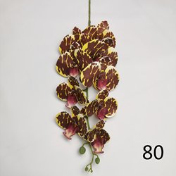 80