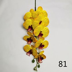81