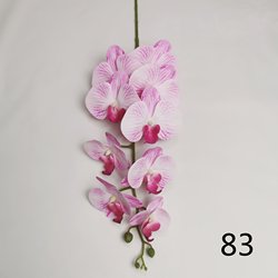 83