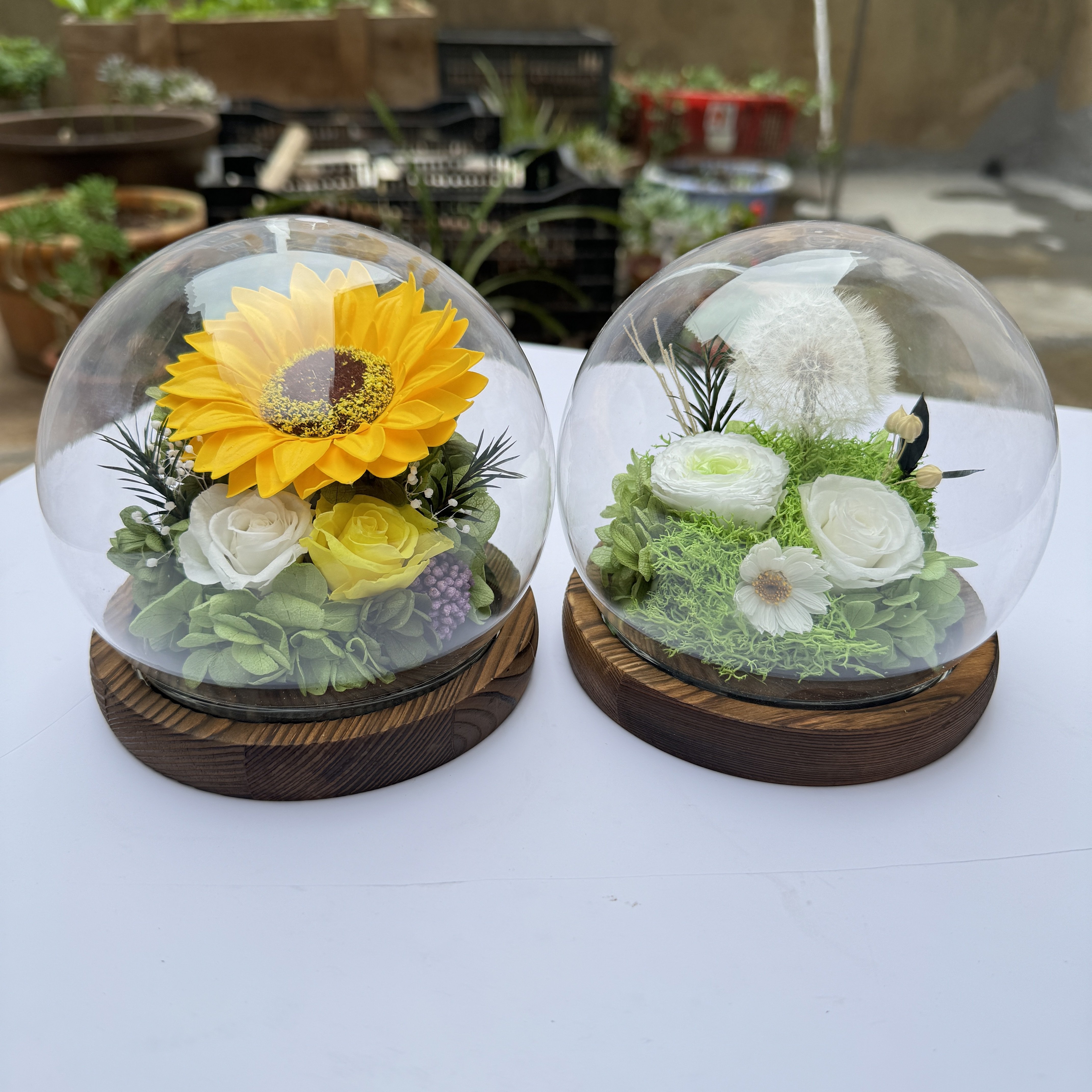 Custom Valentines Day Gift Stabilized Flowers Sunflower Preserved Flowers & Plants for Mother Wife Girlfriend Gifts