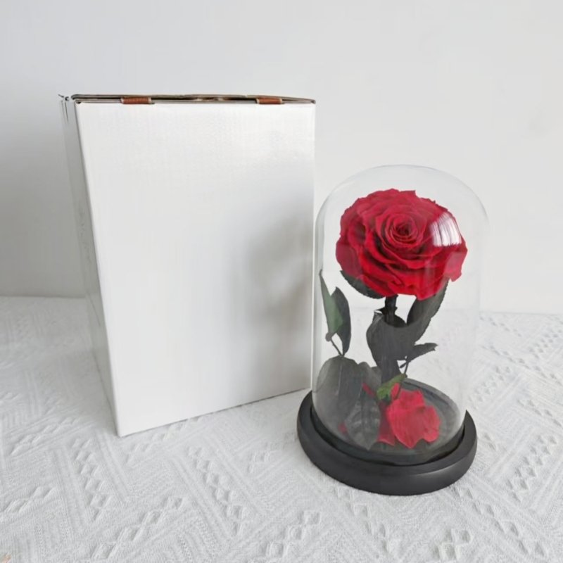 Wholesale Real Rose Preserved Flowers in Glass Dome Romantic Gift with gift Box for Christmas or Valentine's Day Gift
