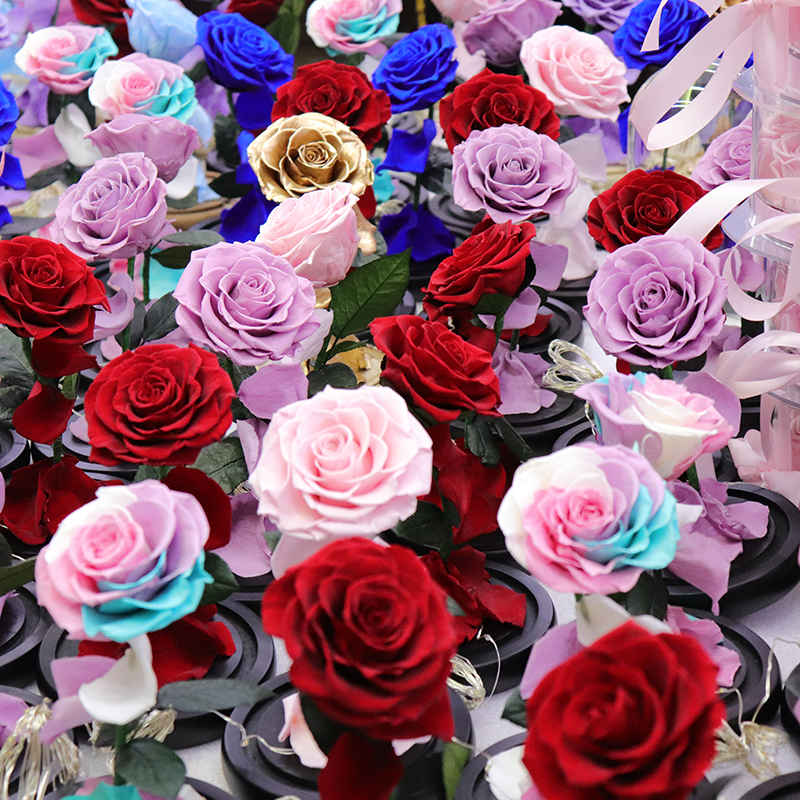 Hot 2024 Preserved Flower Rose Glass Dome Valentines Day Gift Preserved Rose In A Glass Led Light Eternal Preserved Rose In Dome