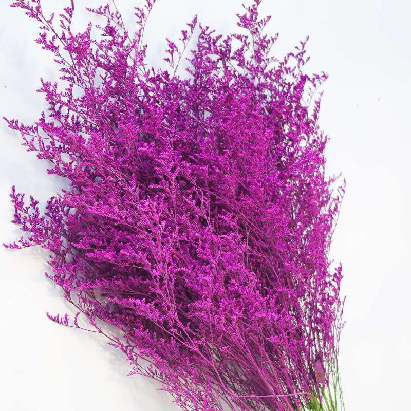 Wholesale preserved natural dried flowers Misty preserved limonium flower grass preserved flowers and plants for home decor