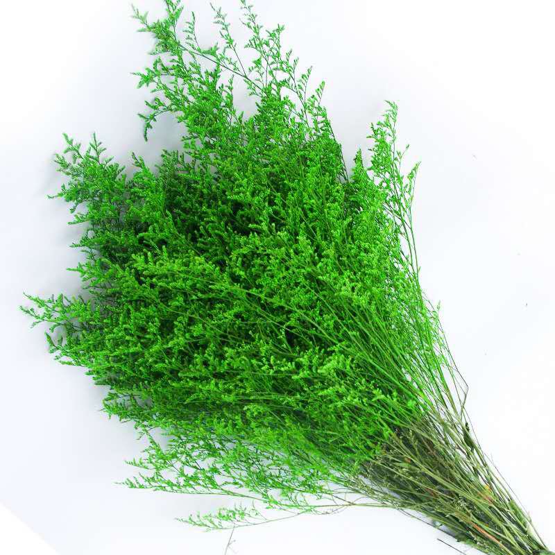Wholesale preserved natural dried flowers Misty preserved limonium flower grass preserved flowers and plants for home decor