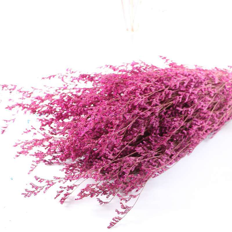 Wholesale preserved natural dried flowers Misty preserved limonium flower grass preserved flowers and plants for home decor