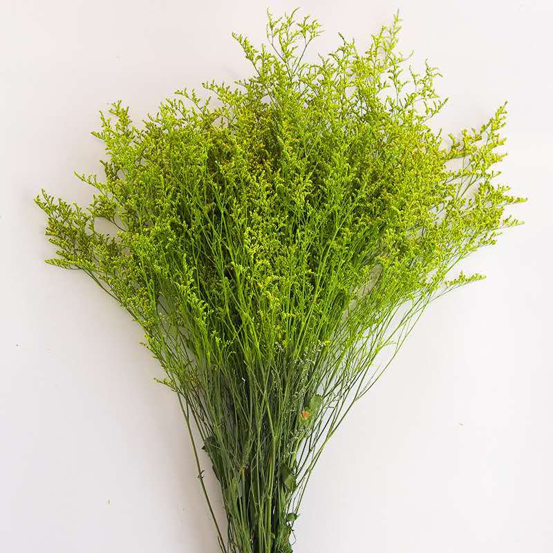 Wholesale preserved natural dried flowers Misty preserved limonium flower grass preserved flowers and plants for home decor