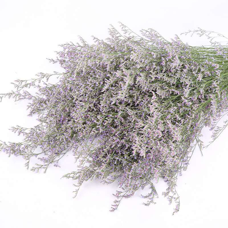 Wholesale preserved natural dried flowers Misty preserved limonium flower grass preserved flowers and plants for home decor