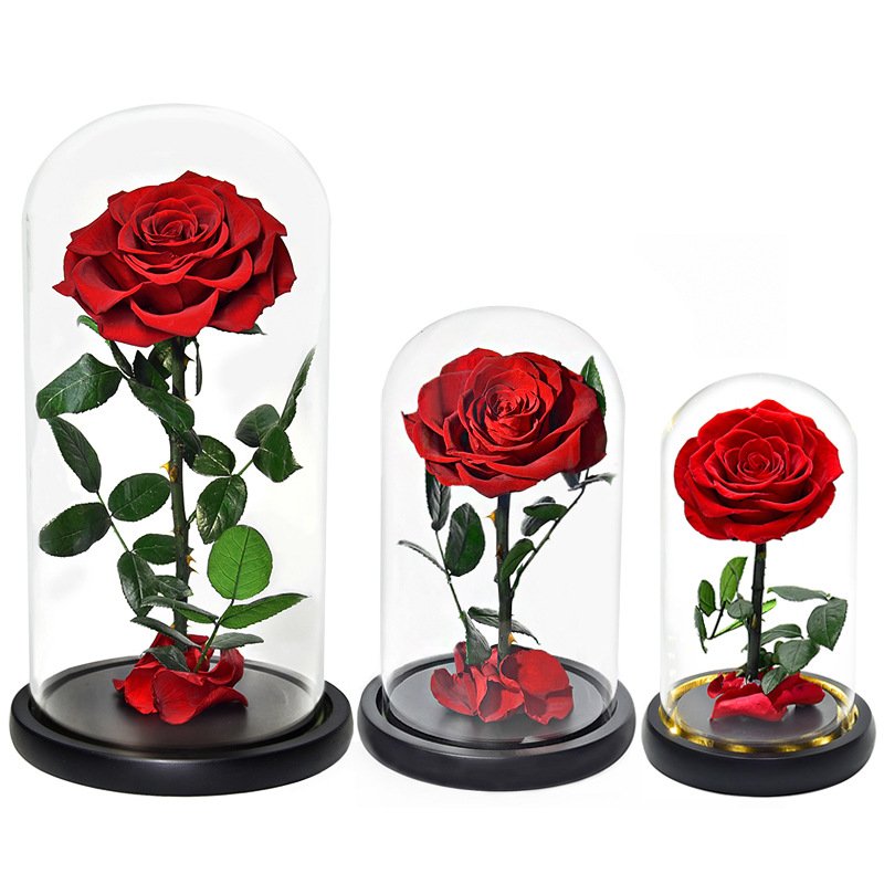 Christmas Wedding Flower Mothers Day Gifts Preserved Flowers Valentines Day Gift Decorative Flowers Preserved Roses