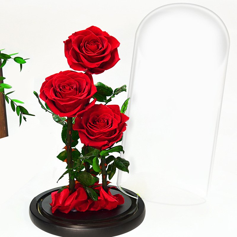 Christmas Wedding Flower Mothers Day Gifts Preserved Flowers Valentines Day Gift Decorative Flowers Preserved Roses