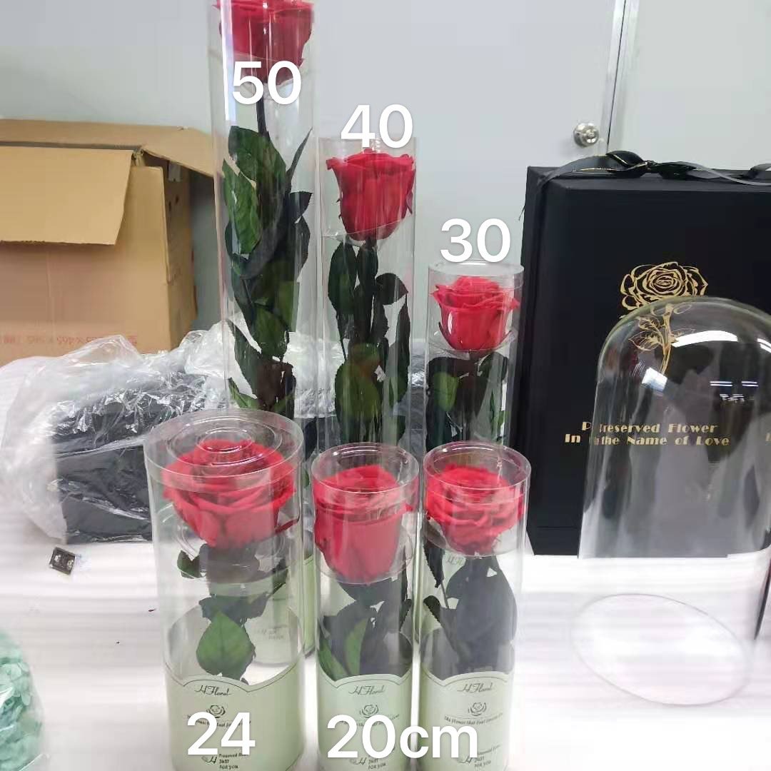 Big Order Low Price Preserved Stem Roses 50 cm Long Stems Wholesale Preserved Rose with Stem For Wedding Decoration