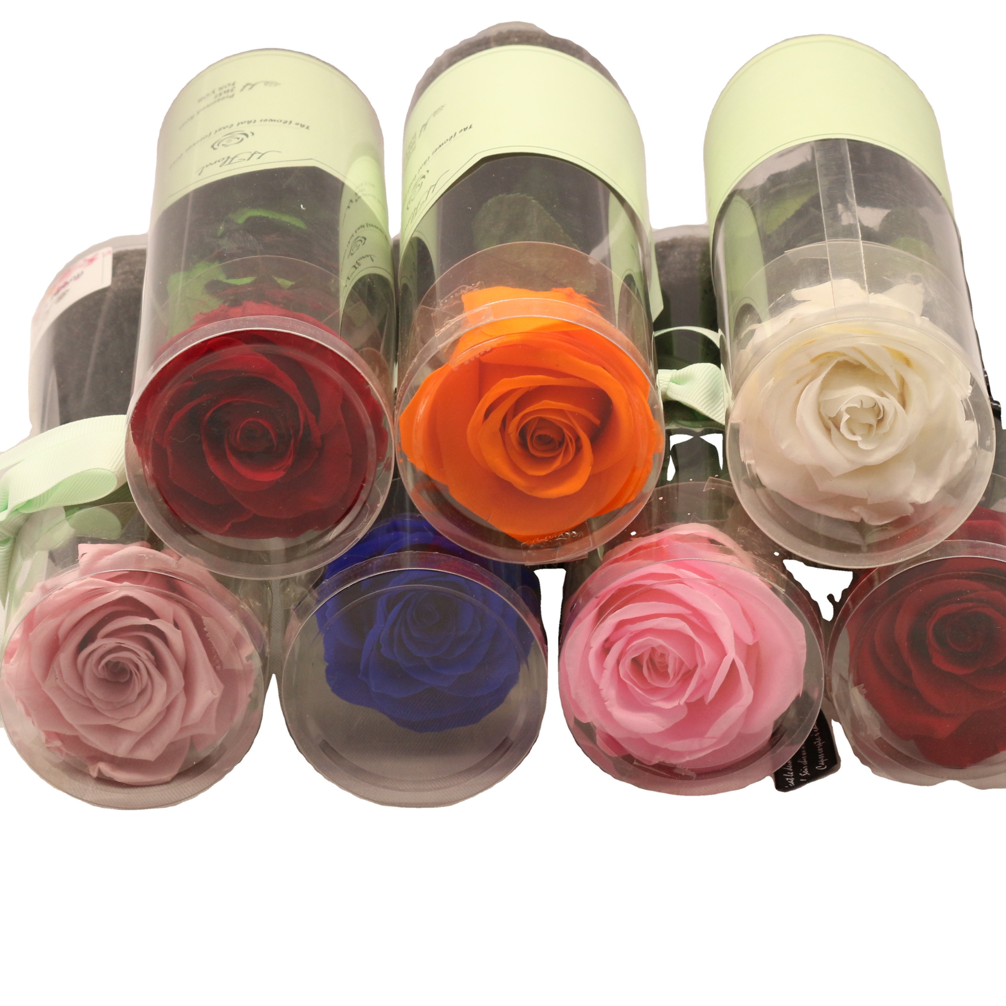 Big Order Low Price Preserved Stem Roses 50 cm Long Stems Wholesale Preserved Rose with Stem For Wedding Decoration