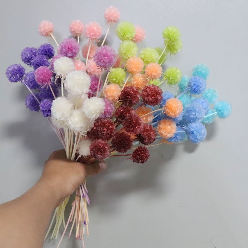 2023 Best seller preserved flowers, wedding home decor Preserved Scabiosa for various scene decorations